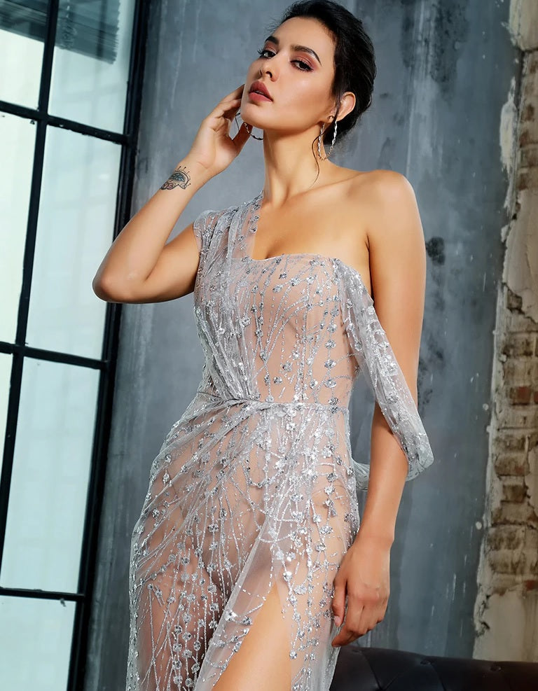 Silver Sequin See Through Gown – Hold ...